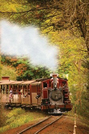 Puffing Billy - Tourism Adelaide 5