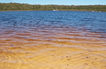 Beach Trekkers North Stradbroke Island - Tourism Adelaide 1