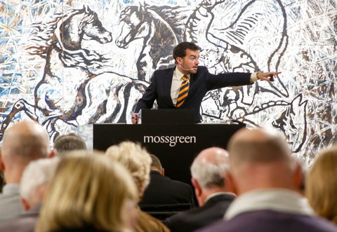 Mossgreen - Tourism Adelaide 0