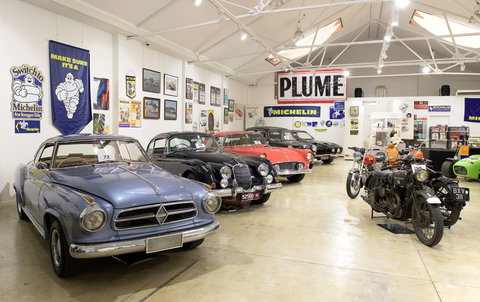 Mossgreen - Tourism Adelaide 6