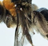 Western Australian Museum - Tourism Adelaide