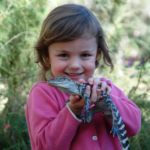 Australian Reptile Park - Tourism Adelaide 2