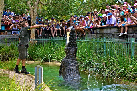 Australian Reptile Park - Tourism Adelaide 4