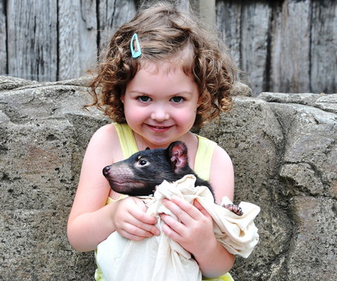 Australian Reptile Park - Tourism Adelaide 8