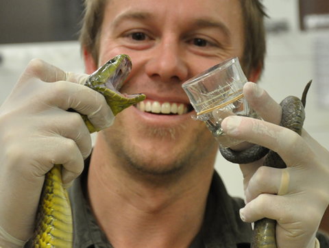 Australian Reptile Park - Tourism Adelaide 9