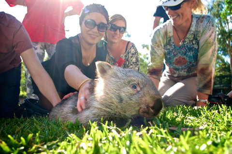 Australian Reptile Park - Tourism Adelaide 10