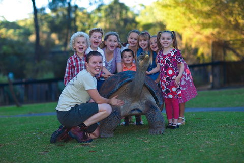 Australian Reptile Park - Tourism Adelaide 11