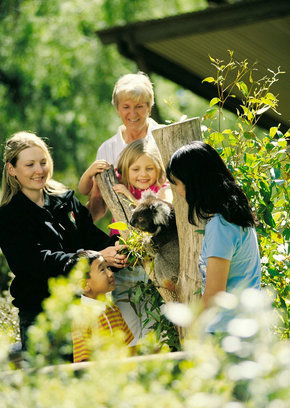 Cleland Wildlife Park - Tourism Adelaide 5