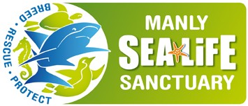 Manly SEA LIFE Sanctuary - Tourism Adelaide 0