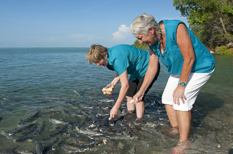 Darwin City NT Tourism Adelaide