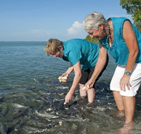 Aquascene Fish Feeding Sanctuary - Tourism Adelaide