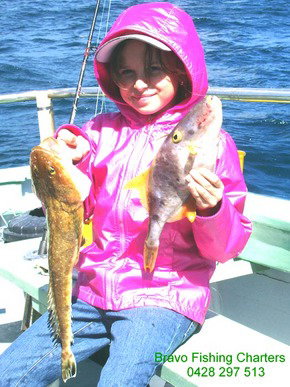 Bravo Fishing Charters - Tourism Adelaide 5