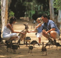 Billabong Sanctuary - Tourism Adelaide