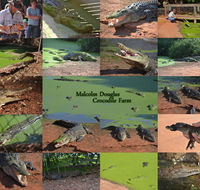 The Malcolm Douglas Crocodile Park - Tourism Adelaide