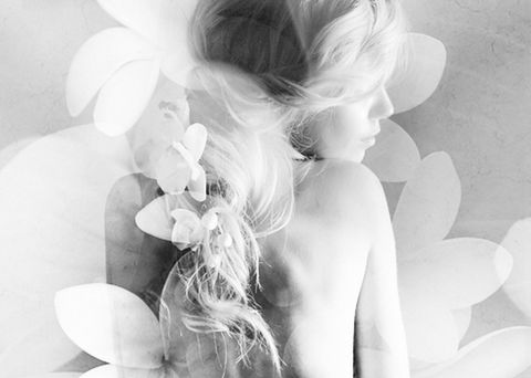 Elysium- A Place Of Beauty - Tourism Adelaide 1