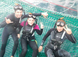 Dolphin Swim Australia - Tourism Adelaide 7