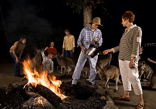 Cairns Night Zoo - Tourism Adelaide