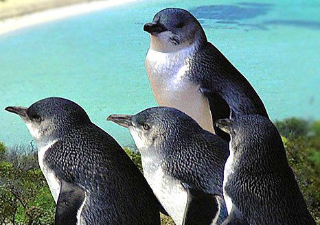 Bentley WA Tourism Adelaide