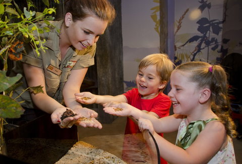 WILD LIFE Sydney Zoo - Tourism Adelaide 1