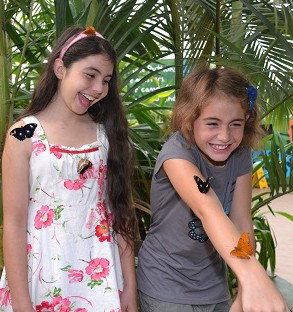 WILD LIFE Sydney Zoo - Tourism Adelaide 4