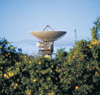 Big Dish - Tourism Adelaide