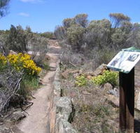 Christmas Rock Walk - Tourism Adelaide
