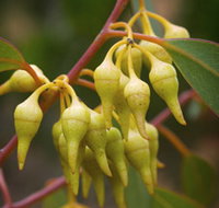 Mount Short Scenic Drive - Tourism Adelaide