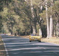 Ludlow Tuart Forest - Tourism Adelaide