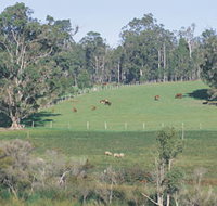 Scenic Drives - Bunbury Collie Donnybrook - Tourism Adelaide