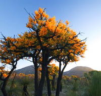 Cape Le Grand National Park - Tourism Adelaide