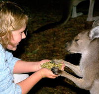 Discovery Bay's Walk on the Wild Side - Tourism Adelaide