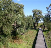 Kepwari Trails Wetland Wonderland - Tourism Adelaide