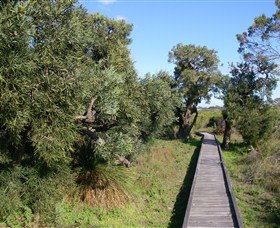 Kepwari Trails Wetland Wonderland - Tourism Adelaide 0