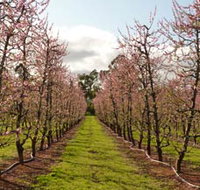 Raeburn Orchards - Tourism Adelaide