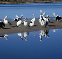 Peel Region Canoe Trails - Tourism Adelaide