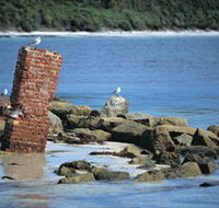 Whalers Beach - Tourism Adelaide