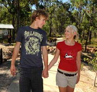 Crooked Brook Forest - Tourism Adelaide