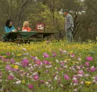 Gwambygine Park - Tourism Adelaide