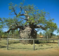 Pigeon Heritage Trail - Tourism Adelaide