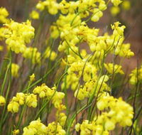 Mount Madden Scenic Drive - Tourism Adelaide