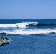 West End - Tourism Adelaide