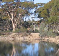Merredin Railway Dam - Tourism Adelaide
