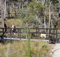 Forest Path Crooked Brook - Tourism Adelaide