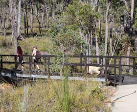 Forest Path, Crooked Brook - Tourism Adelaide 0