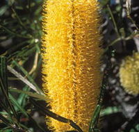 Moore River National Park - Tourism Adelaide
