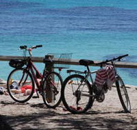 Parker Point Marine Snorkel Trail - Tourism Adelaide