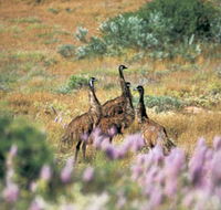 Jurabi Coastal Reserve - Tourism Adelaide
