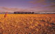 Nullarbor Plain - thumb 0