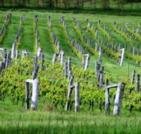 Sienna Estate Winery - Tourism Adelaide