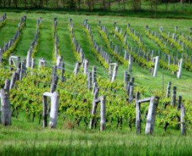 Sienna Estate Winery - Tourism Adelaide 0